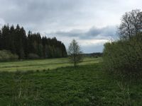 Landesgrenze Th&uuml;ringen-Sachsen